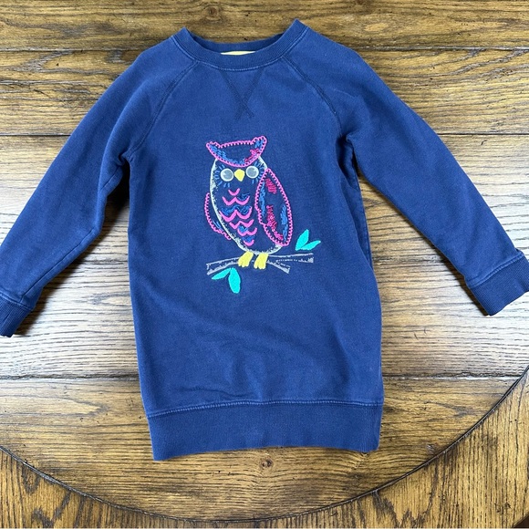 Mini Boden Other - Mini Boden Owl Embroidered Sweatshirt Dress
